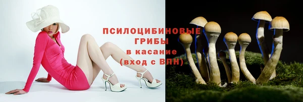 хмурый Абдулино