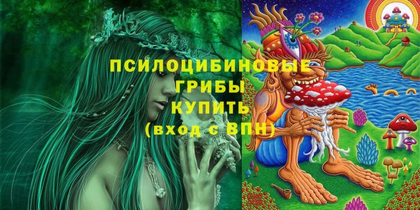 гидропоника Абинск