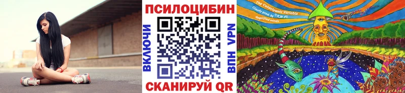 Псилоцибиновые грибы мицелий  купить наркотик  Подпорожье 